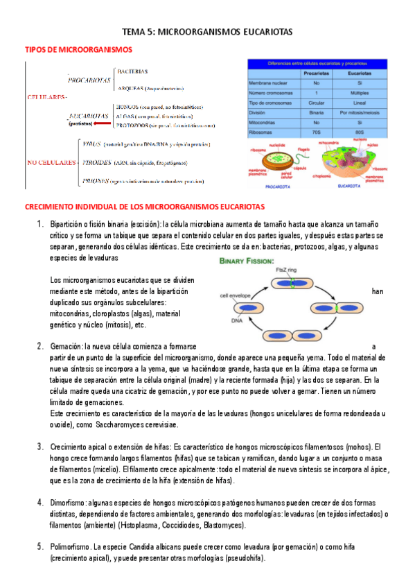 Miniatura del documento Apuntes-Microbiologia.pdf