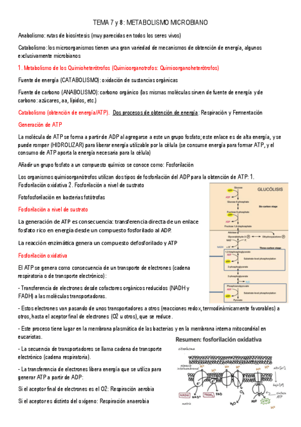 Miniatura del documento Apuntes-Microbiologia.pdf