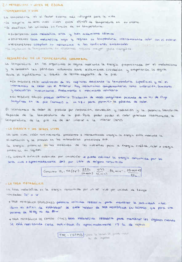 Miniatura del documento 2.1-metabolismo-y-leyes-de-escala.pdf