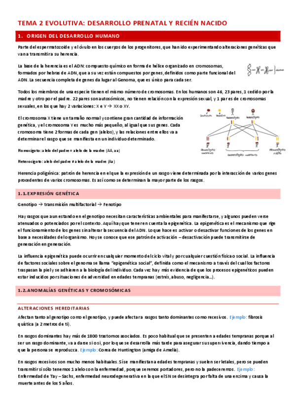 Miniatura del documento EVO I T.2: Desarrollo prenatal y recién nacido.pdf