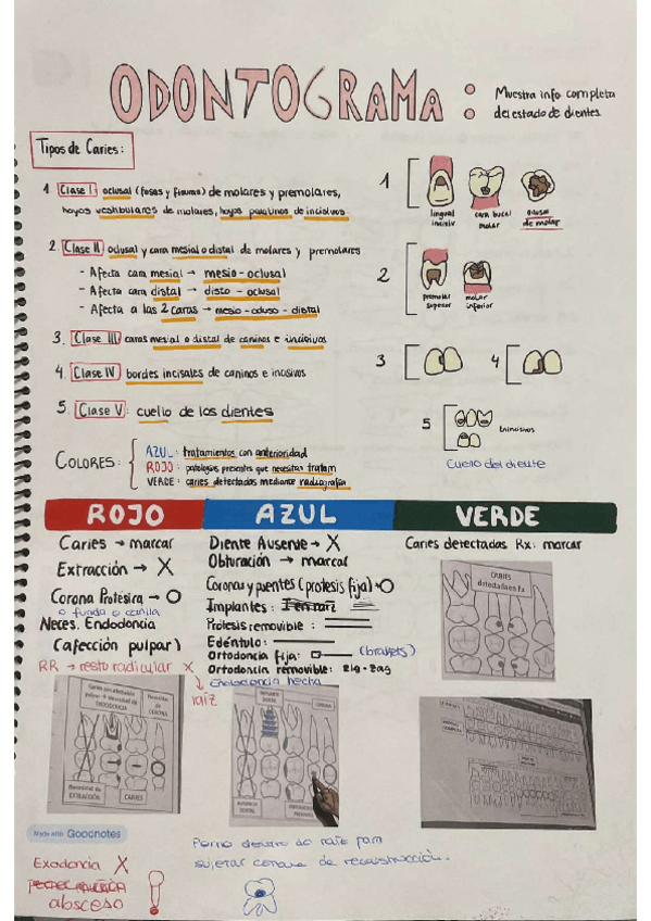 Miniatura del documento ESQUEMA-ODONTOGRAMA.pdf