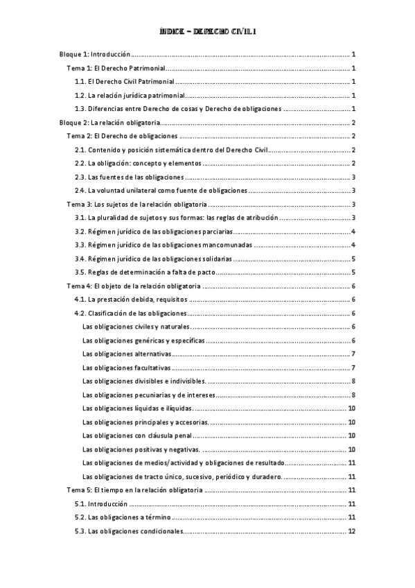 Miniatura del documento CIVIL-1-COMPLETO.pdf