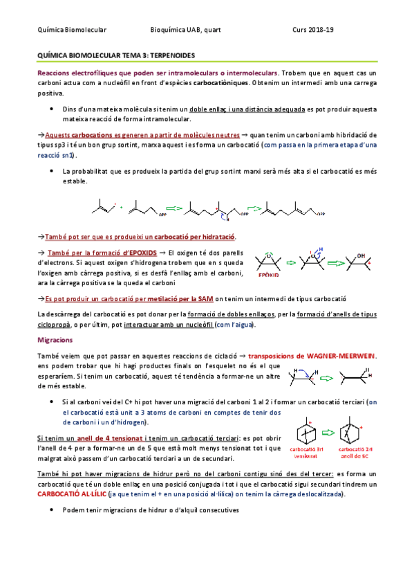 Miniatura del documento QUÍMICA BIOMOLECULAR TEMA 3 - TERPENOIDES.pdf