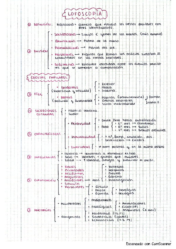 Miniatura del documento Criminalistica.-Lofoscopia-y-dactiloscopia.pdf