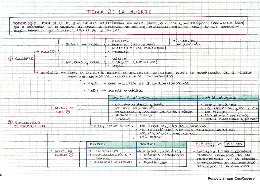 Miniatura del documento Medicina.-Tema-2.pdf