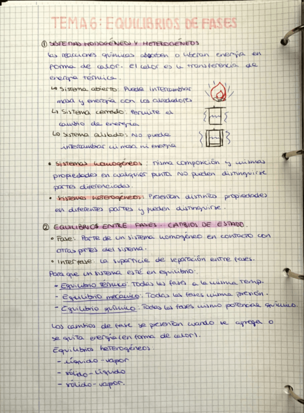 Miniatura del documento Tema-6-Equilibrios-de-fases.pdf