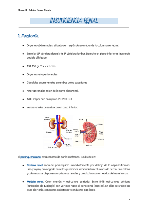 Miniatura del documento INSUFICIENCIA-RENAL.pdf