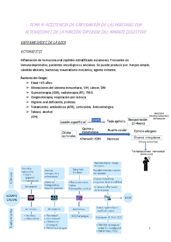 Miniatura del documento Tema-6-Adulto-II-1.pdf