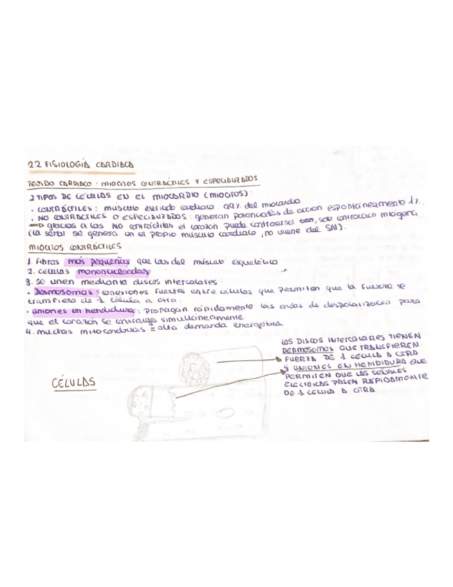 Miniatura del documento 2.2-fisiologia--a-mano.pdf