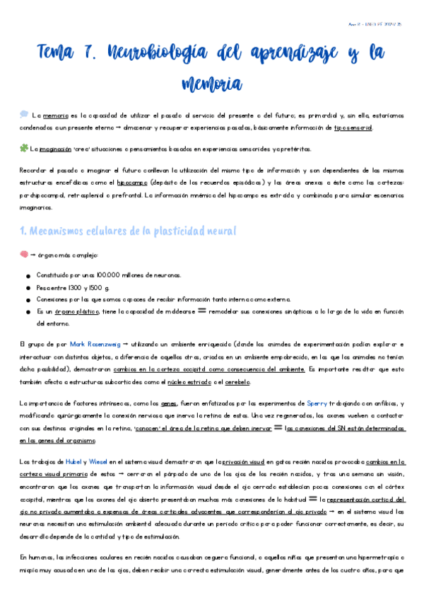 Miniatura del documento Tema-7.-Neurobiologia-del-aprendizaje-y-la-memoria.-Ana-R..pdf