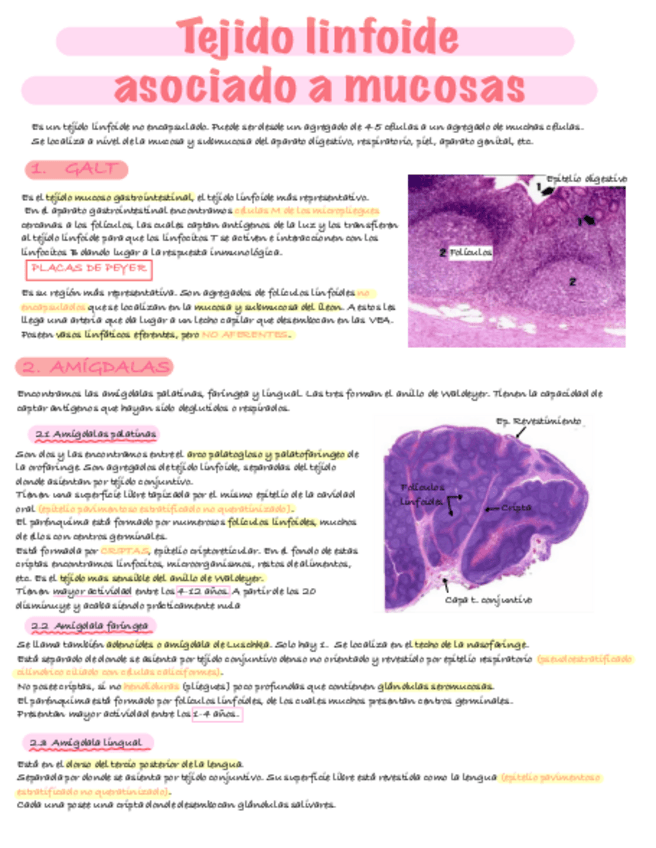 Miniatura del documento MALT.pdf