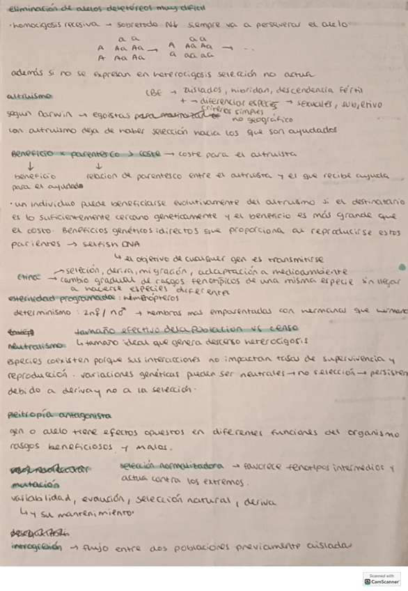 Miniatura del documento Preguntas-de-teoria-poblaciones.pdf