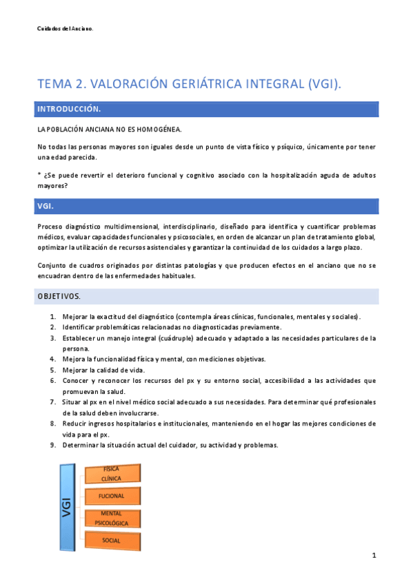 Miniatura del documento TEMA-2.-VGI.pdf