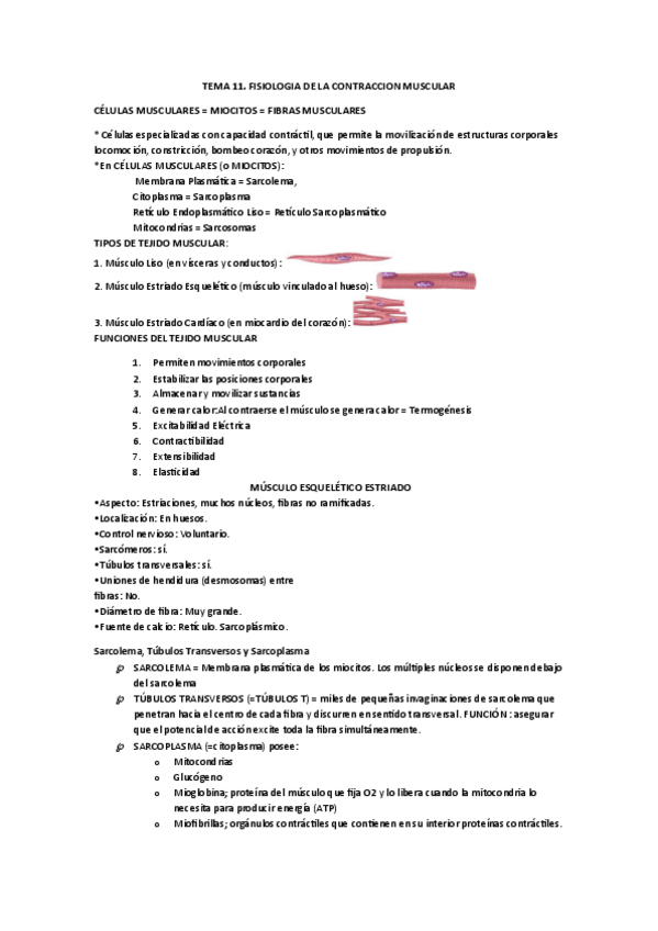 Miniatura del documento TEMA-11.-esther.pdf