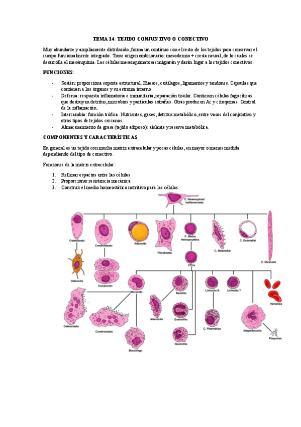 Miniatura del documento TEMA-14-y-15.pdf