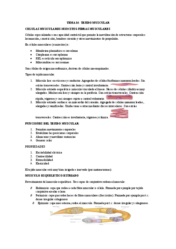 Miniatura del documento TEMA-16.pdf