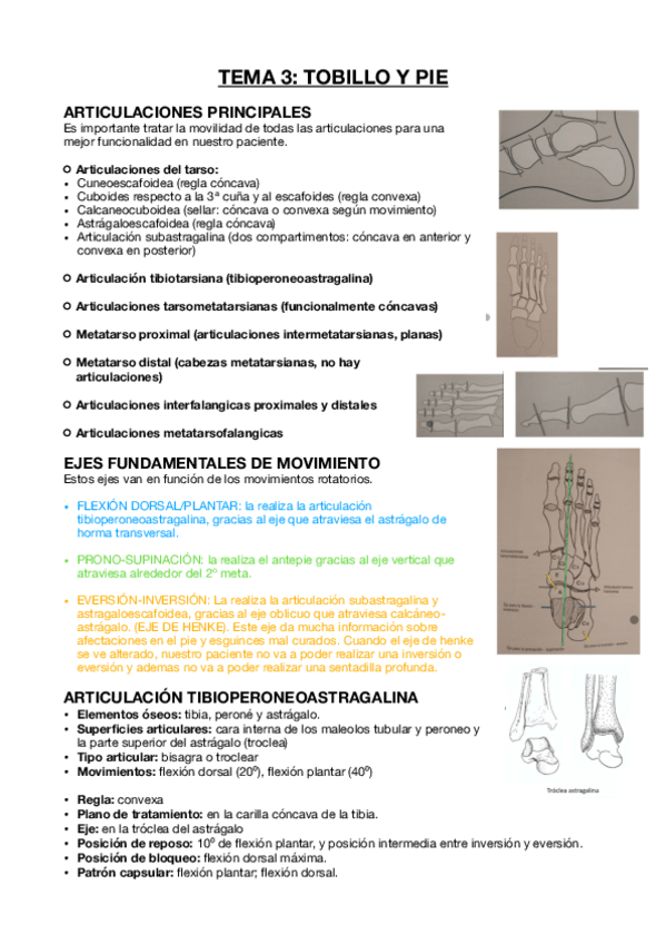Miniatura del documento Tema-3.-Resumen.pdf