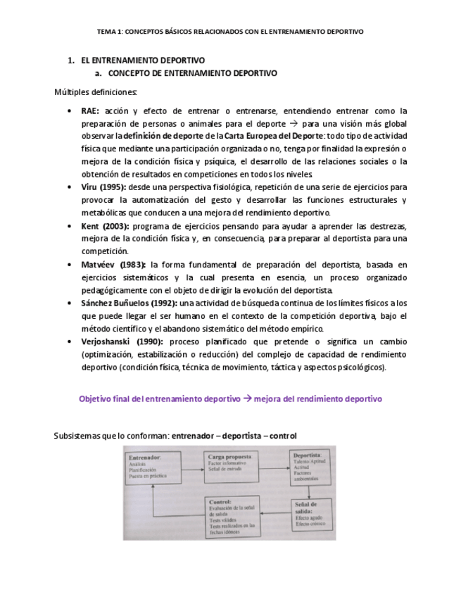 Miniatura del documento TEMA-1.pdf