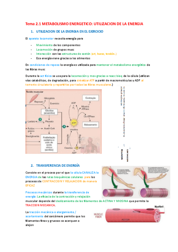 Miniatura del documento Tema-2.1.pdf