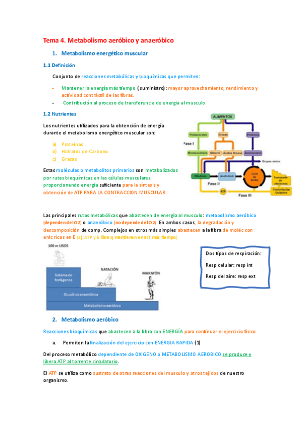 Miniatura del documento Tema-4.pdf