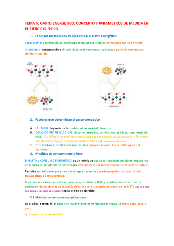 Miniatura del documento TEMA-5.pdf
