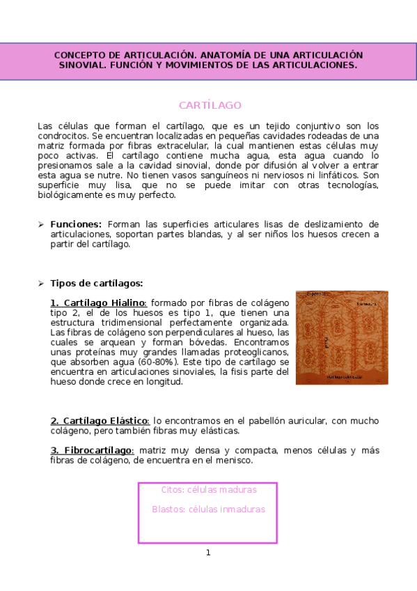 Miniatura del documento ARTICULACION.docx