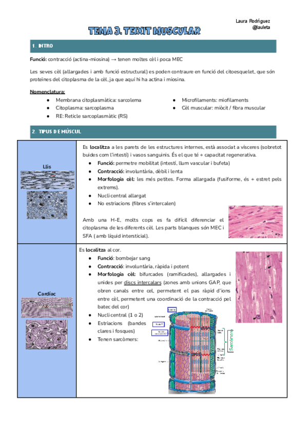 Miniatura del documento Tema-3-Histologia.pdf