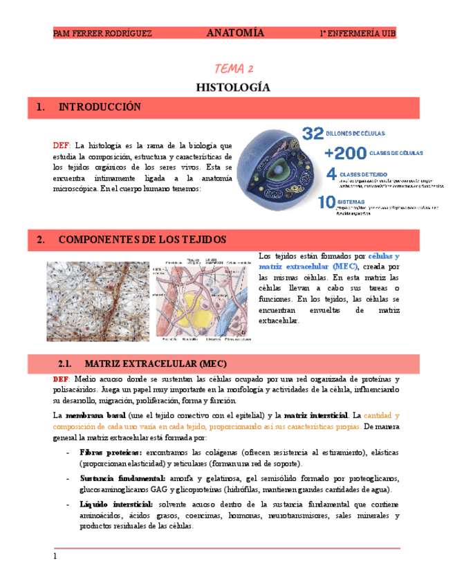 Miniatura del documento TEMA-2-HISTOLOGIA.pdf