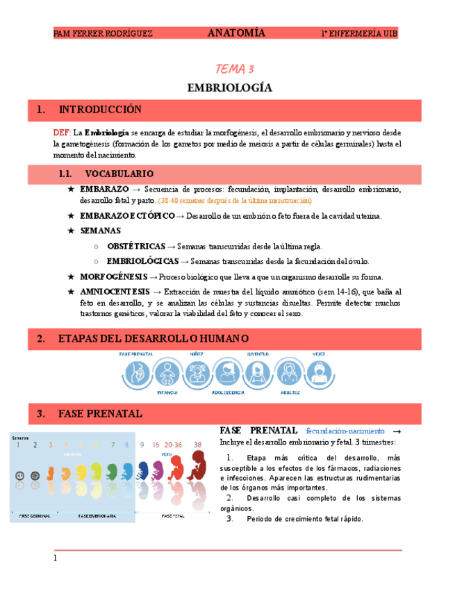 Miniatura del documento TEMA-3-EMBRIOLOGIA.pdf