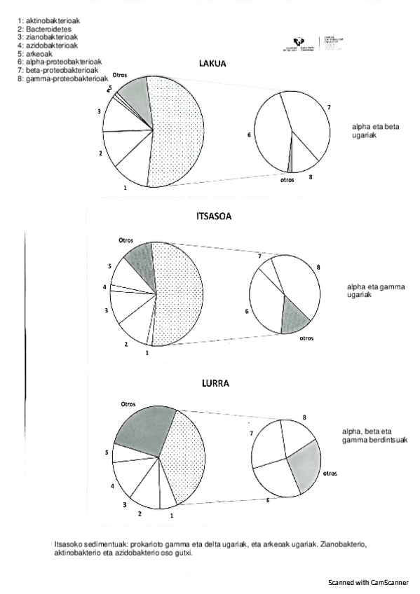 Miniatura del documento Ariketak.pdf