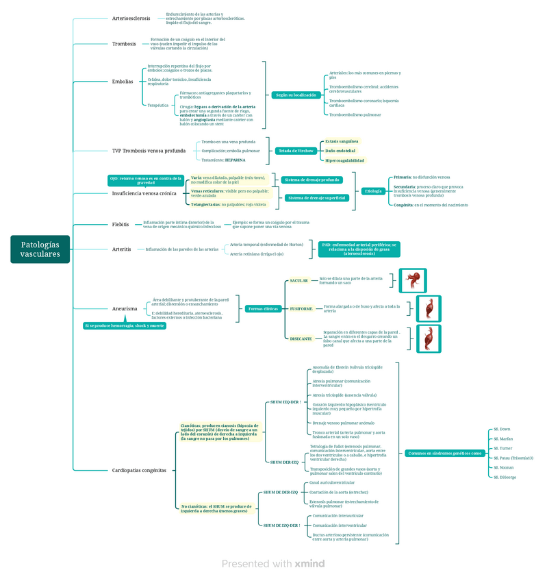 Miniatura del documento Patologias-vasculares.pdf