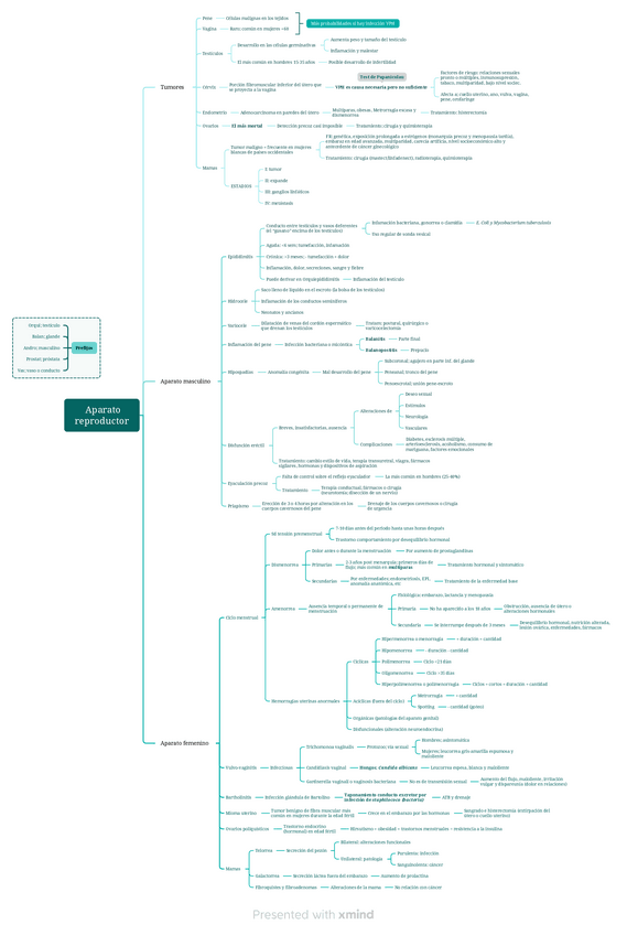 Miniatura del documento Aparato-reproductor.pdf