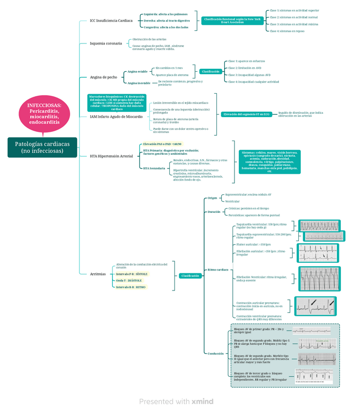 Miniatura del documento Patologias-cardiacas.pdf