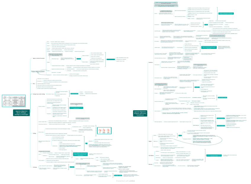 Miniatura del documento Aparato-digestivo.pdf