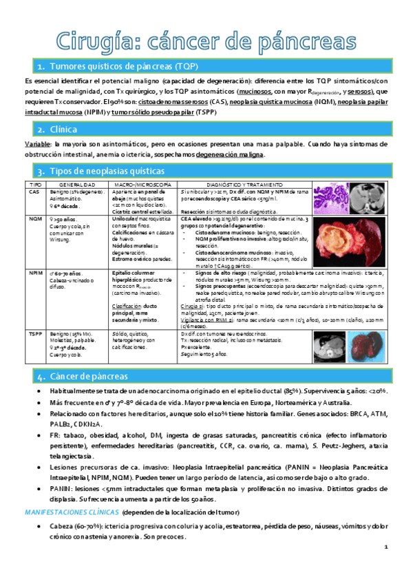 Miniatura del documento Qx-cancer-de-pancreas.pdf