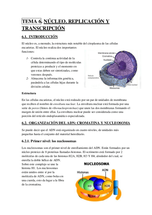 Miniatura del documento TEMA 6.pdf