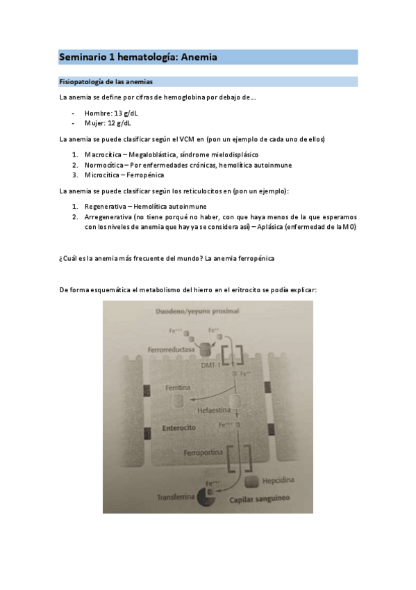 Miniatura del documento Seminario-hemato.pdf
