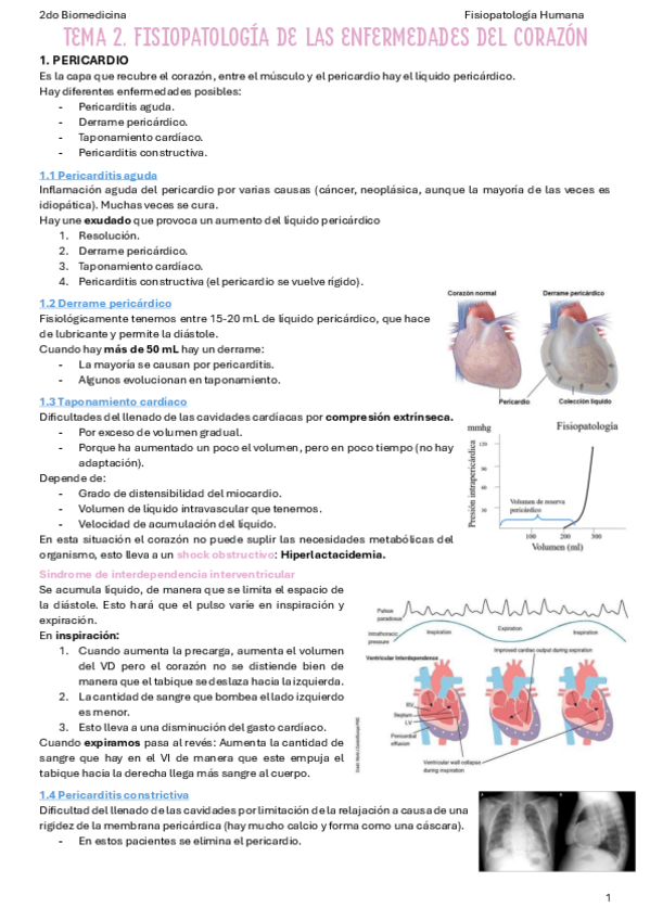 Miniatura del documento T2-Fisiopatologia-de-las-enfermedades-del-corazon.pdf