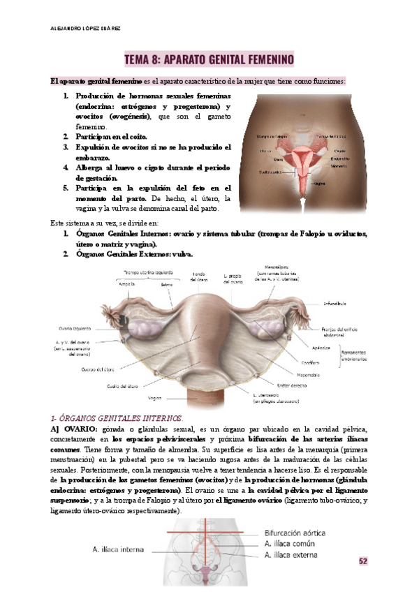 Miniatura del documento ANATOMIA-TEMA-8-APARATO-GENITAL-FEMENINO.pdf