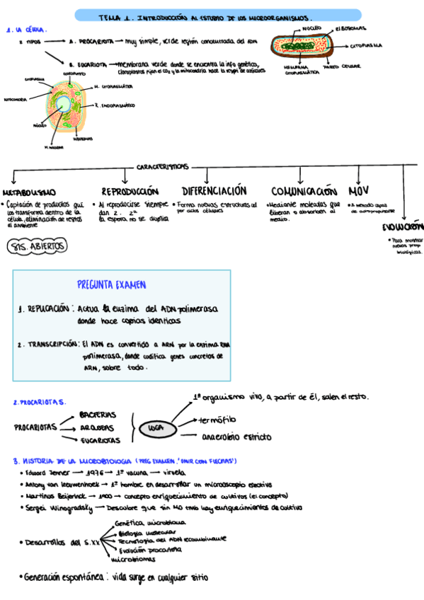 Miniatura del documento Resumenes-tema-1.pdf
