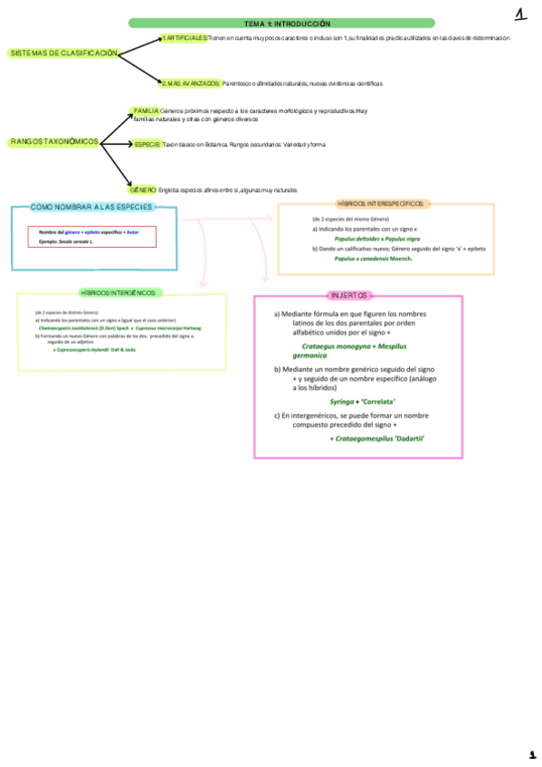 Miniatura del documento Teoria-botanica.pdf