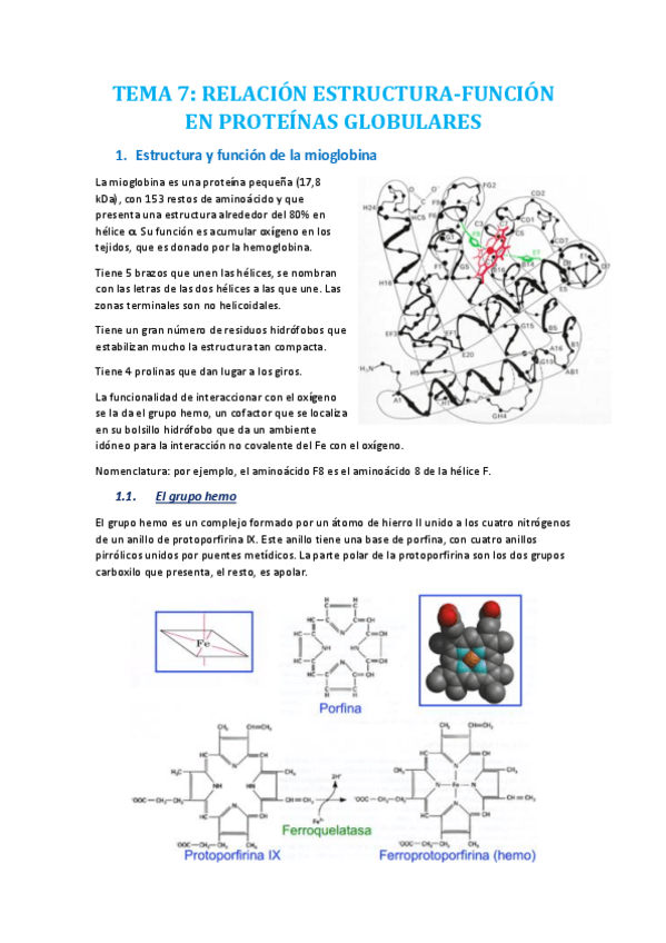 Miniatura del documento TEMA 7.pdf