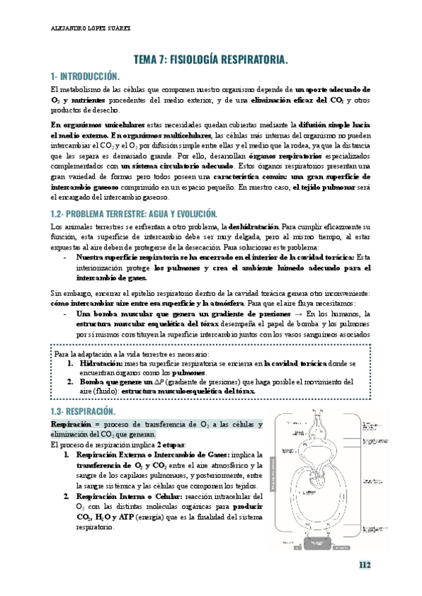 Miniatura del documento FISIOLOGIA-HUMANA-TEMA-7.pdf