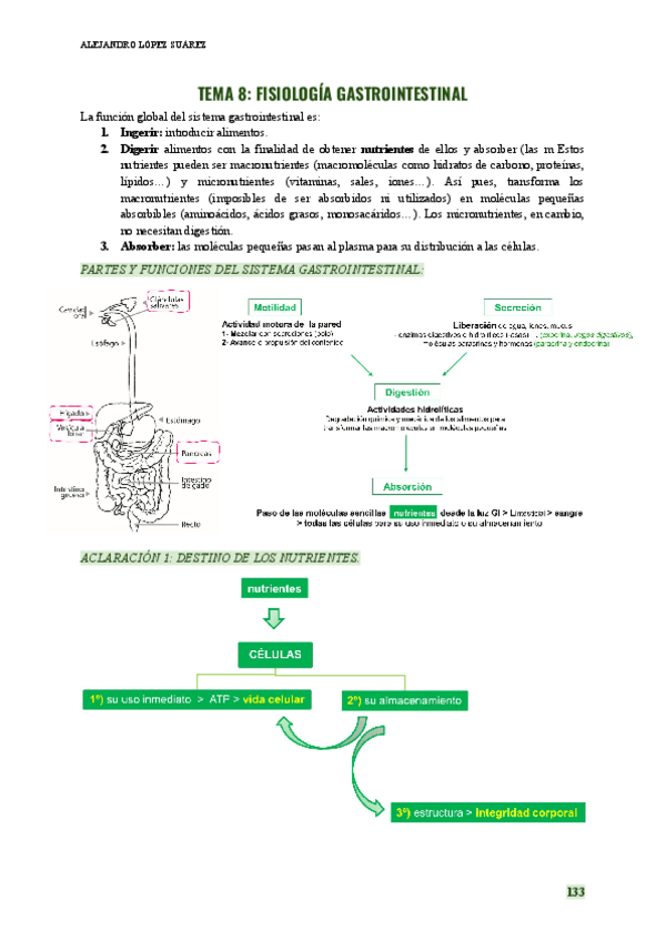 Miniatura del documento FISIOLOGIA-HUMANA-TEMA-8.pdf