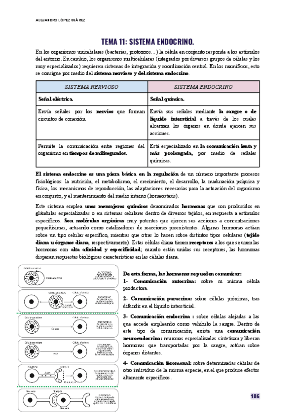 Miniatura del documento FISIOLOGIA-HUMANA-TEMA-11.pdf