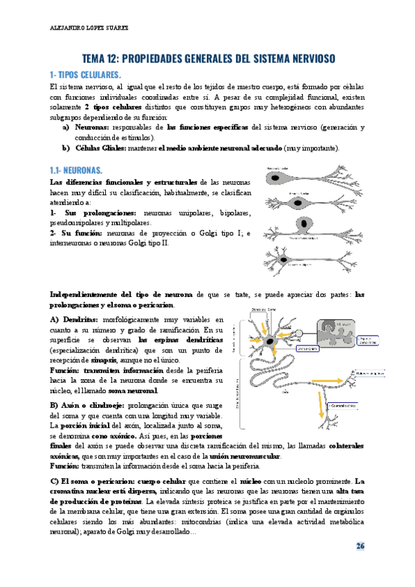 Miniatura del documento FISIOLOGIA-HUMANA-TEMA-12.pdf