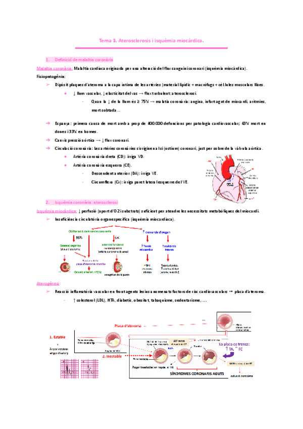 Miniatura del documento PNEUMOLOGIA.-Tema-3.-Aterosclerosis-i-isquemia-miocardica..pdf