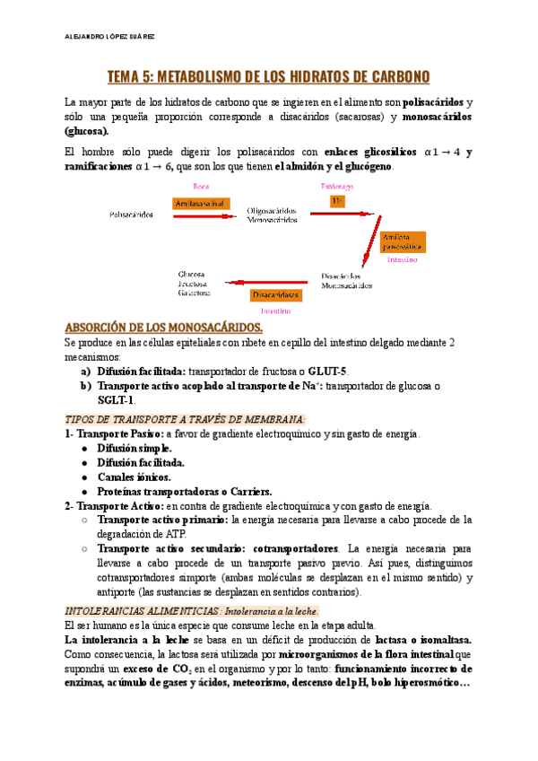 Miniatura del documento TEMA-5-BIOQUIMICA.pdf