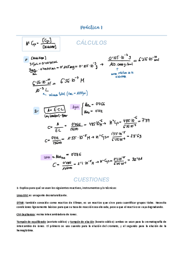 Miniatura del documento CALCULOS-Y-CUESTIONES-PRACTICAS-PRIMER-CUATRI.pdf