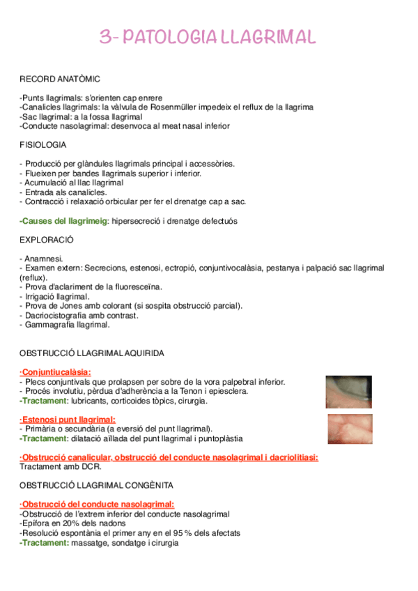 Miniatura del documento 3-patologia-llagrimal.pdf
